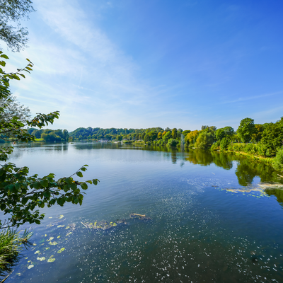 Naturgebiet mit einem großen See und mehreren Wäldern in Bochum