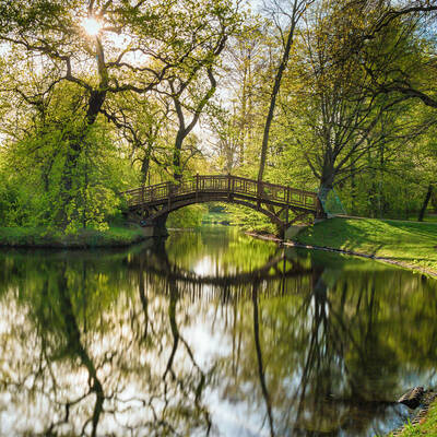 Johannapark in Leipzig ©stock.adobe.com_Martina Schikore